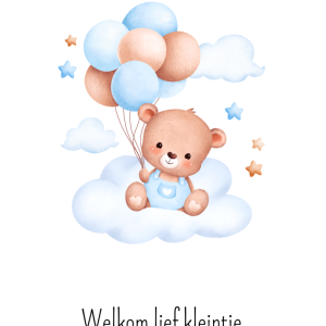 Kaart ‘Welkom lief kleintje’ – jongen