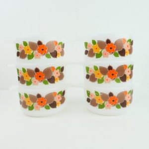 Vintage soep schaal Schott en Gen oranje bloemen, set 6