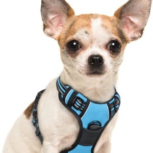 JAXY Hondenharnas – Hondentuig – Hondentuigje Kleine Hond – Y Tuig Hond – Harnas Hond – Anti Trek Tuig Hond – Reflecterend – Maat S – Blauw